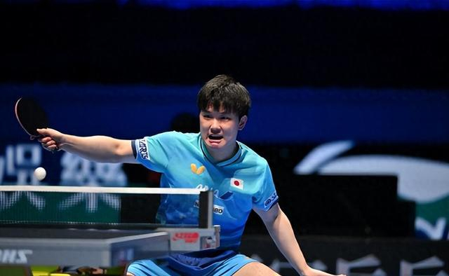 张本智和逆转邱党晋级八强，澳门世界杯七局大