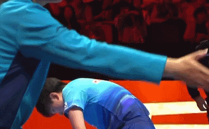 张本智和逆转邱党晋级八强，澳门世界杯七局大